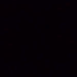 Meet your Posher, Allen